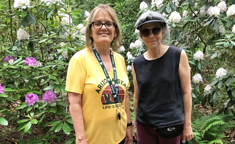 Walkers in Nichols Arboretum