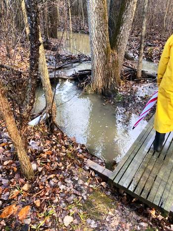 A stream on UUAA land