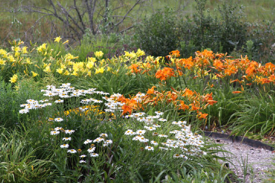 flowerpathway