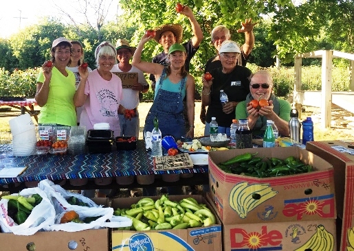 Farm Project Volunteers