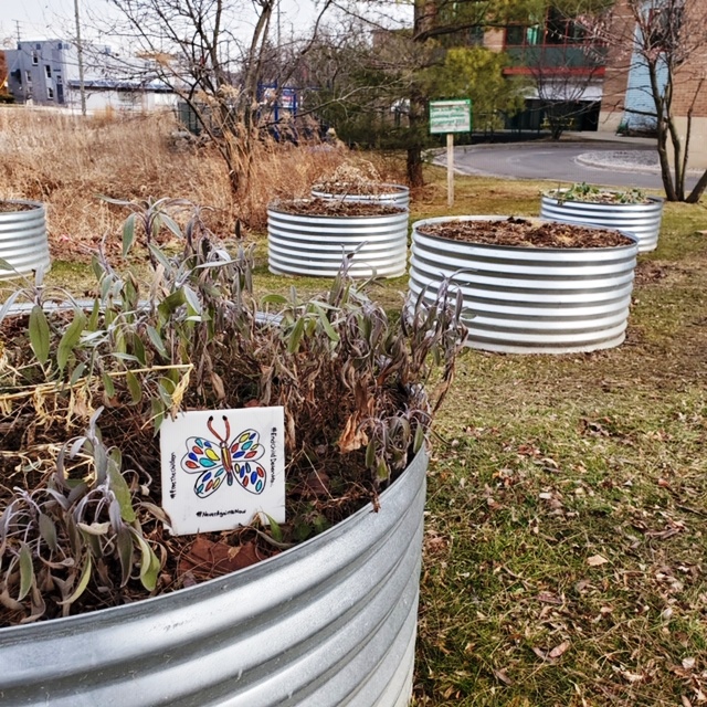 Ann Arbor YMCA Learning Garden