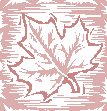 mapleleaf